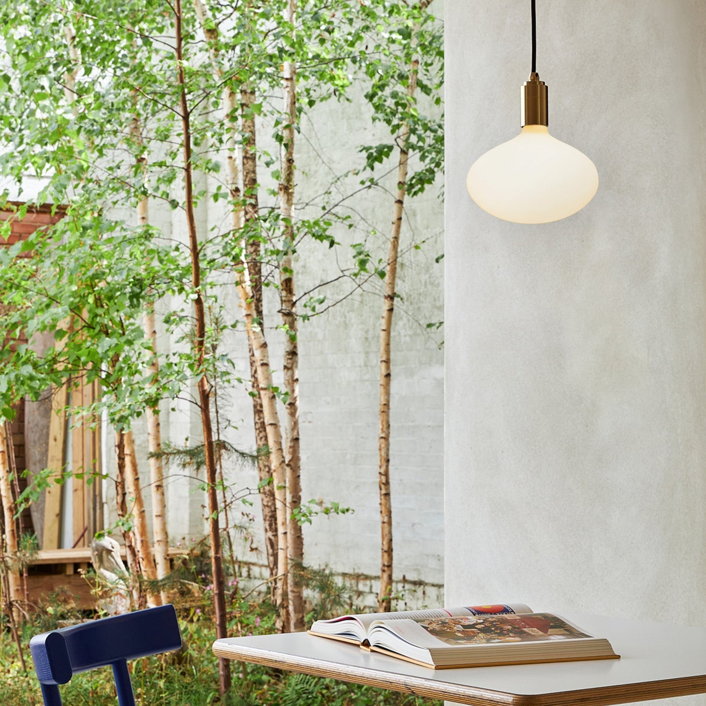 Oval II Pendant Light in Oak